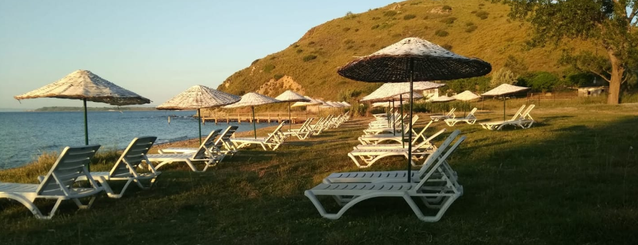 Yeşil Beyaz Çaybahçesi